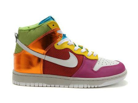 Nike dunk 6.0 shoes